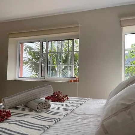 Secluded W Pool, Oceanside View, 3br, 3ba ポンタ・ド・ソル